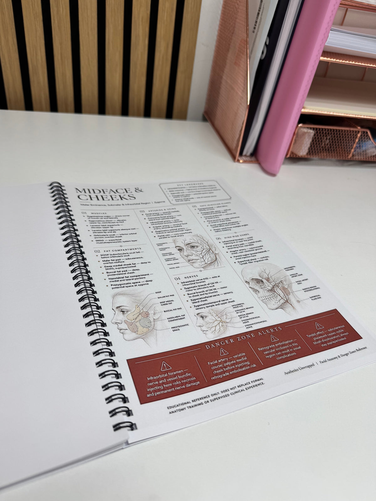 Clinical Education & Treatment Reference Bundle